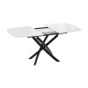 Стол обеденный раздвижной «Ниагара» Тип 1, черный муар, стекло глянцевое белое