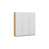 Шкаф-купе 2092 с 3 глухими дверями «Оскар Скания», ручка серебро, дуб крафт золотой, белый снег, белый матовый