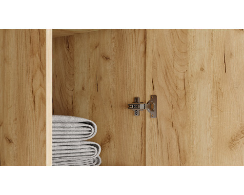 Шкаф для одежды «Джоли» 900, дуб крафт золотой, графит матовый