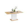 Стол раздвижной «Детройт» Тип 4, белый, дуб крафт золотой