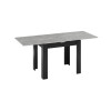 Стол раздвижной «Промо» тип 3, черный, ателье светлый