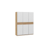 Шкаф-купе 1765 с 3 глухими дверями «Оскар Скания», ручка серебро, дуб крафт золотой, белый снег, дуб тортугга
