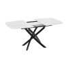Стол обеденный раздвижной «Ниагара» Тип 1, черный муар, стекло матовое белый мрамор