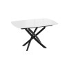 Стол обеденный раздвижной «Ниагара» Тип 1, черный муар, стекло глянцевое белое