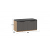 Тумба для обуви «Хилтон» исп.2.2, дуб крафт золотой, графит матовый