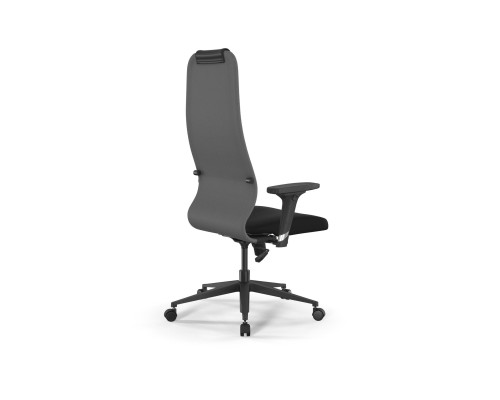 Кресло ErgoLife Sit 8 B1-10D - UMF(X1) /Uh02/Wh00/D02P(M09.B11.G19.W02) (Св.серый-Черный) Кресло ErgoLife Sit 8 B1-10D - UMF(X1) /Uh02/Wh00/D02P(M09.B11.G19.W02) (Св.серый-Черный)