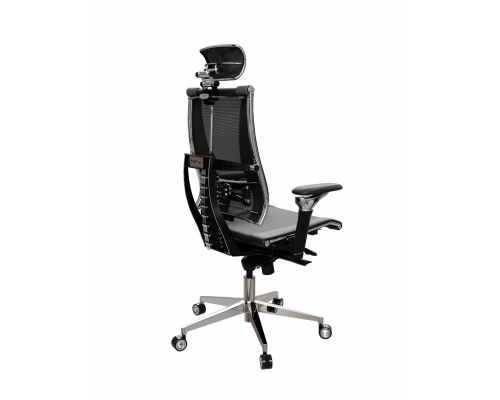 Кресло Кресло Yoga Spine Triumph L2 (M06) (Черный D5.50.15.92)