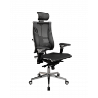 Кресло Кресло Yoga Spine Triumph L2 (M06) (Черный D5.50.15.92)
